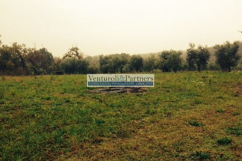 Terra a Mazzano, Brescia, Mazzano - € 600.000 | Ref: AS019 - foto 3
