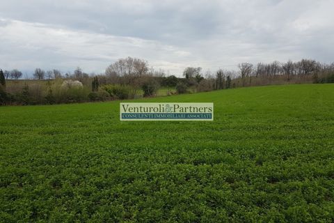 Terra a Mazzano, Brescia, Mazzano - € 600.000 | Ref: AS019 - foto 4