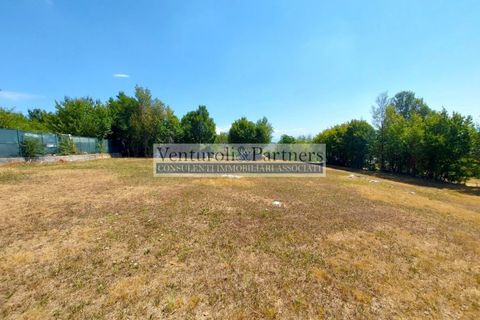 Terra a Serle, Brescia, Serle - € 250.000 | Ref: AS217 - foto 2
