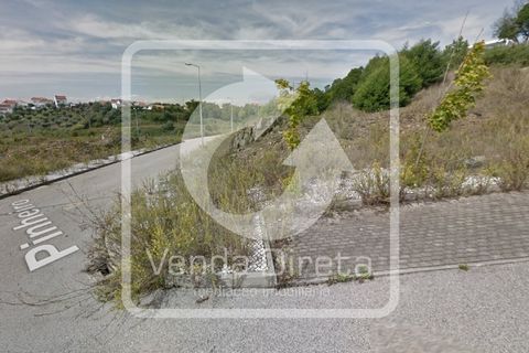 Helårsgrund i Abrantes, Santarem, Abrantes - € 548.000 | Ref: VD-2503031/W1/DD - foto 10