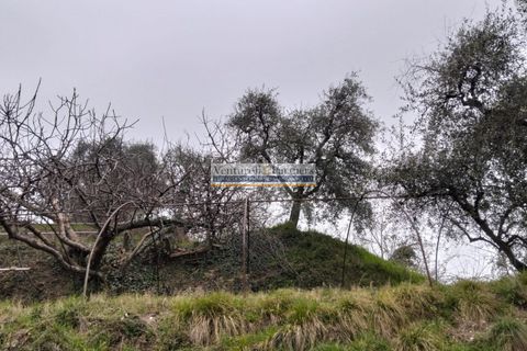 Terra a Salo, Brescia, Salo - € 60.000 | Ref: BT172 - foto 3