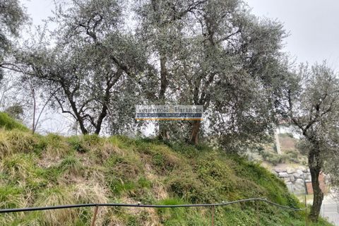 Terra a Salo, Brescia, Salo - € 60.000 | Ref: BT172 - foto 4