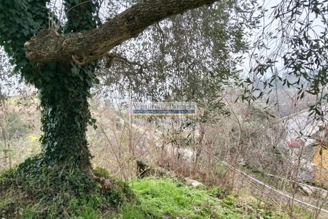 Terra a Salo, Brescia, Salo - € 60.000 | Ref: BT172 - foto 5