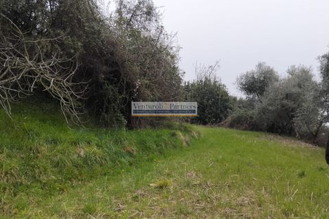 Terra a Salo, Brescia, Salo - € 60.000 | Ref: BT172 - foto 8