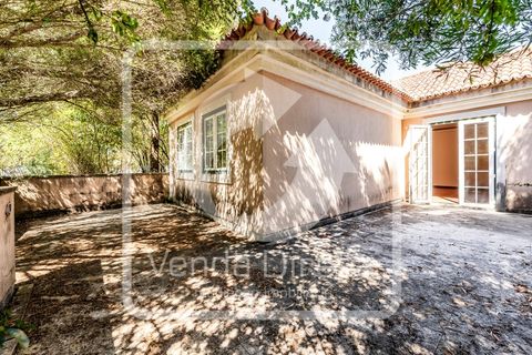 Villa a Belas, Lisbon, Belas - € 2.500.000 | Ref: VD-2407129/W10/DD - foto 20