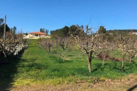 Villa a Pacos, Vila Real, Pacos - € 375.000 | Ref: PL3227 - foto 9