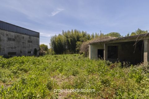 Villa i Mozelos, Aveiro, Mozelos - € 315 000 | Ref: 3678 - foto 5