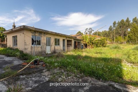 Villa a Espinho, Aveiro, Espinho - € 295.000 | Ref: 3681 - foto 18