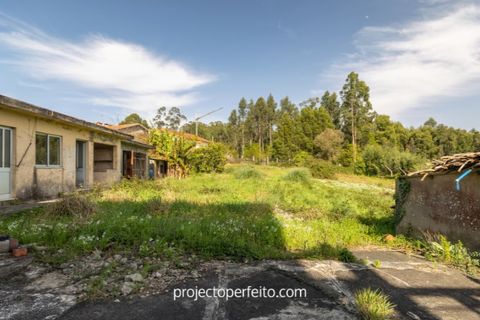 Villa a Espinho, Aveiro, Espinho - € 295.000 | Ref: 3681 - foto 20