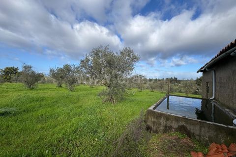 Landejendom i Castelo Branco, Castelo Branco, Castelo Branco - € 42.000 | Ref: 102250021 - foto 3