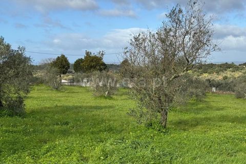 Landejendom i Castelo Branco, Castelo Branco, Castelo Branco - € 42.000 | Ref: 102250021 - foto 2