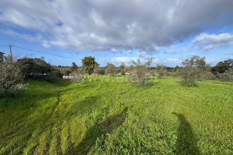 Landejendom i Castelo Branco, Castelo Branco, Castelo Branco - € 42.000 | Ref: 102250021 - foto 4