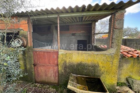 Landejendom i Castelo Branco, Castelo Branco, Castelo Branco - € 42.000 | Ref: 102250021 - foto 5