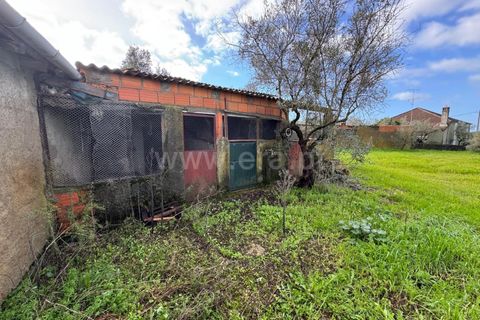 Landejendom i Castelo Branco, Castelo Branco, Castelo Branco - € 42.000 | Ref: 102250021 - foto 7