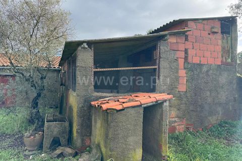 Landejendom i Castelo Branco, Castelo Branco, Castelo Branco - € 42.000 | Ref: 102250021 - foto 8