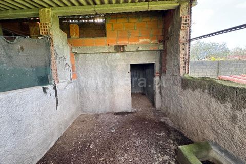 Landejendom i Castelo Branco, Castelo Branco, Castelo Branco - € 42.000 | Ref: 102250021 - foto 9