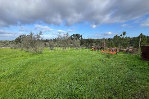 Landejendom i Castelo Branco, Castelo Branco, Castelo Branco - € 42.000 | Ref: 102250021 - foto 10