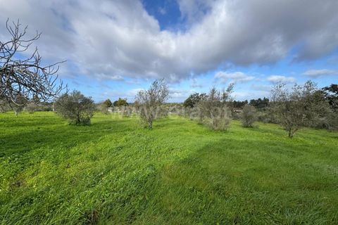 Landejendom i Castelo Branco, Castelo Branco, Castelo Branco - € 42.000 | Ref: 102250021 - foto 11