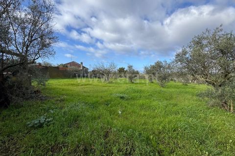 Landejendom i Castelo Branco, Castelo Branco, Castelo Branco - € 42.000 | Ref: 102250021 - foto 14