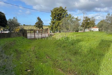 Landejendom i Castelo Branco, Castelo Branco, Castelo Branco - € 42.000 | Ref: 102250021 - foto 16