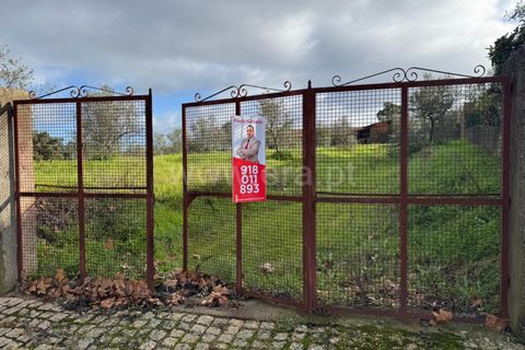 Landejendom i Castelo Branco, Castelo Branco, Castelo Branco - € 42.000 | Ref: 102250021 - foto 17
