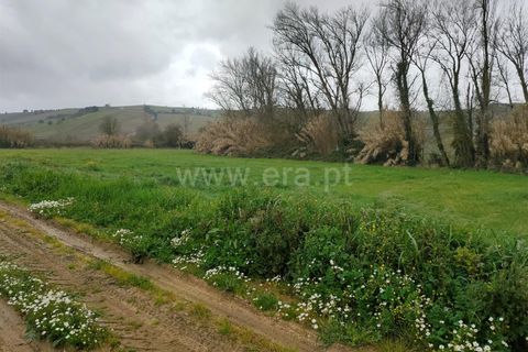 Helårsgrund i Alenquer, Lisbon, Alenquer - € 24.000 | Ref: 295250032 - foto 3