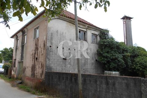 Landejendom i Ansiao, Leiria, Ansiao - € 55.000 | Ref: CR0624 - foto 6
