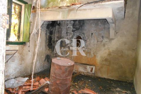 Landejendom i Ansiao, Leiria, Ansiao - € 55.000 | Ref: CR0624 - foto 14