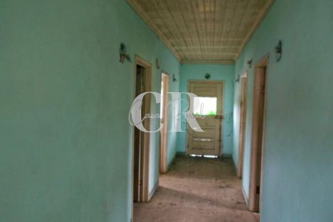 Landejendom i Ansiao, Leiria, Ansiao - € 55.000 | Ref: CR0624 - foto 16