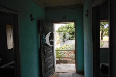 Landejendom i Ansiao, Leiria, Ansiao - € 55.000 | Ref: CR0624 - foto 24