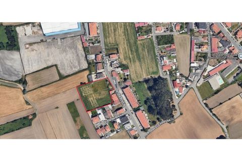 Helårsgrund i Lavra, Porto, Lavra - € 420.000 | Ref: 241119 - foto 14