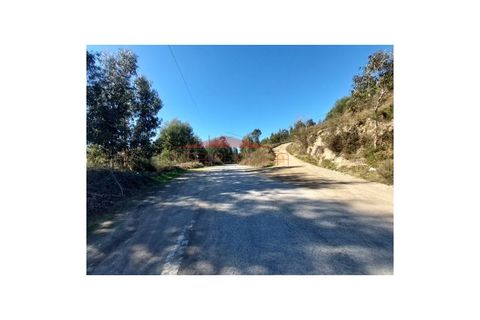 Helårsgrund i Penafiel, Porto, Penafiel - € 5.000 | Ref: 221103 - foto 5