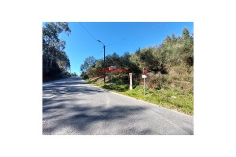 Helårsgrund i Penafiel, Porto, Penafiel - € 5.000 | Ref: 221103 - foto 8