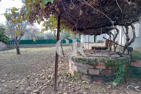 Byhus i Serta, Castelo Branco, Serta - € 180.000 | Ref: CR0489 - foto 6