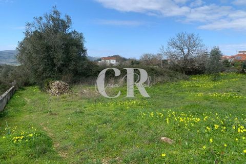 Helårsgrund i Penela, Coimbra, Penela - € 20.000 | Ref: CR0661 - foto 2