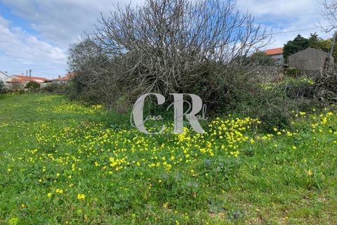 Helårsgrund i Penela, Coimbra, Penela - € 20.000 | Ref: CR0661 - foto 3