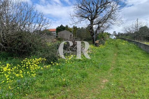Helårsgrund i Penela, Coimbra, Penela - € 20.000 | Ref: CR0661 - foto 4