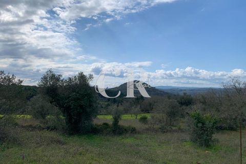 Helårsgrund i Penela, Coimbra, Penela - € 20.000 | Ref: CR0661 - foto 8