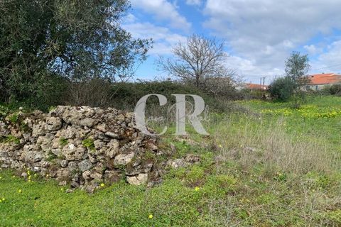 Helårsgrund i Penela, Coimbra, Penela - € 20.000 | Ref: CR0661 - foto 9