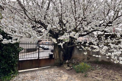 Villa i Vila Real, Vila Real, Vila Real - € 595.000 | Ref: C0406-01850 - foto 3