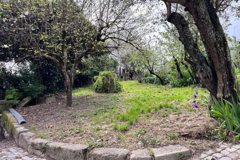 Villa i Vila Real, Vila Real, Vila Real - € 595.000 | Ref: C0406-01850 - foto 11