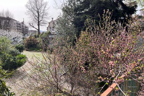 Villa i Vila Real, Vila Real, Vila Real - € 595.000 | Ref: C0406-01850 - foto 14