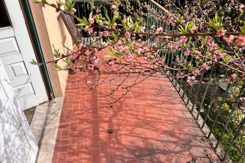 Villa i Vila Real, Vila Real, Vila Real - € 595.000 | Ref: C0406-01850 - foto 38