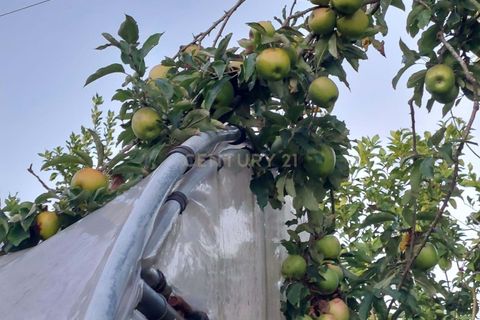 Farm hus i Esposende, Braga, Esposende - € 1.150.000 | Ref: C0406-00663 - foto 30