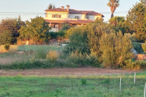 Farm hus i Esposende, Braga, Esposende - € 1.150.000 | Ref: C0406-00663 - foto 41