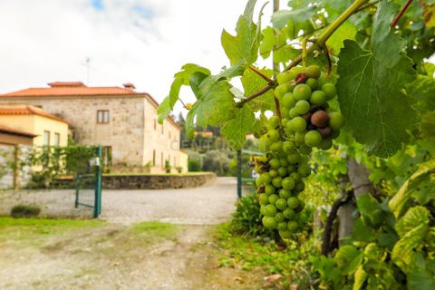 Farm hus i Ponte de Lima, Viana do Castelo, Ponte de Lima - € 1.200.000 | Ref: C0406-00819 - foto 45