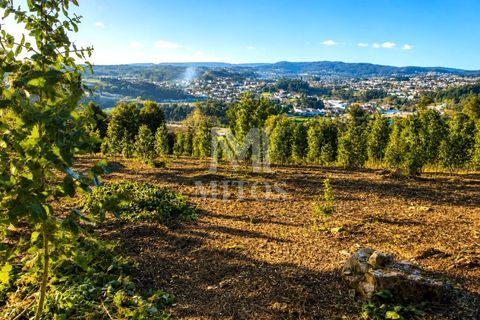 Helårsgrund i Barcelos, Braga, Barcelos - € 90.000 | Ref: S184 - foto 2