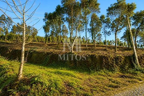 Helårsgrund i Barcelos, Braga, Barcelos - € 90.000 | Ref: S184 - foto 5