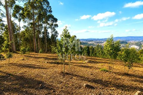 Helårsgrund i Barcelos, Braga, Barcelos - € 90.000 | Ref: S184 - foto 6