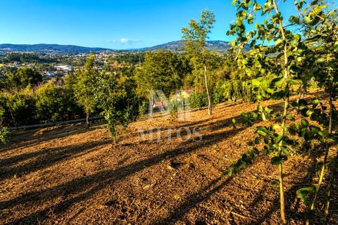 Helårsgrund i Barcelos, Braga, Barcelos - € 90.000 | Ref: S184 - foto 7